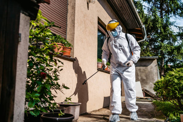 Best Mosquito Control Services  in USA